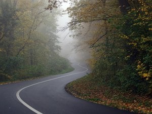 Vorsicht Laub So Fahren Sie Sicher Durch Den Herbst Autohaus Sirch