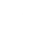 MINI Service
