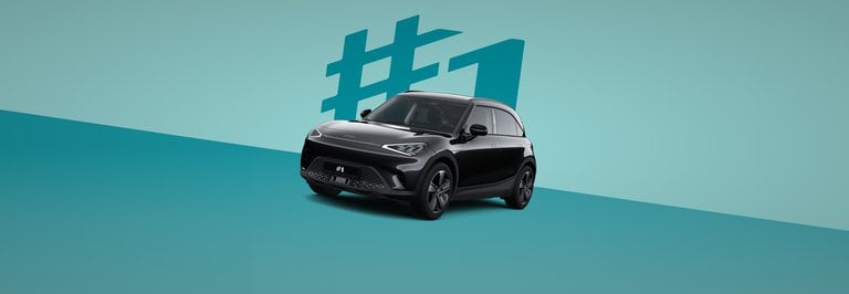 Rata MINI, ma è una smart.