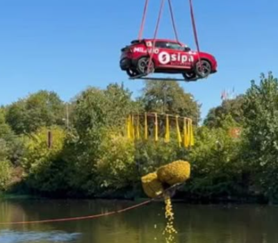 Alfa Romeo au dessus de l'Adour