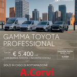 Incentivi statali gamma professional